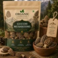 Gucchi Mushrooms (Morel Mushrooms) Gucchi Mushrooms (Morel Mushrooms)