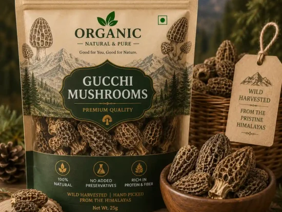 Gucchi Mushrooms (Morel Mushrooms)